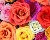 Custom floral arrangement by JoAnn 202//162